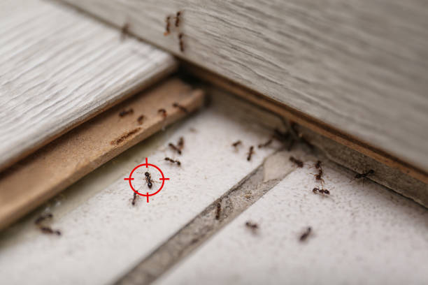 Best Best Pest Control Companies  in Kennesaw State University, GA