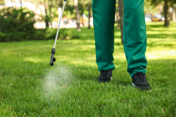 Best Local Pest Control Services  in Kennesaw State University, GA