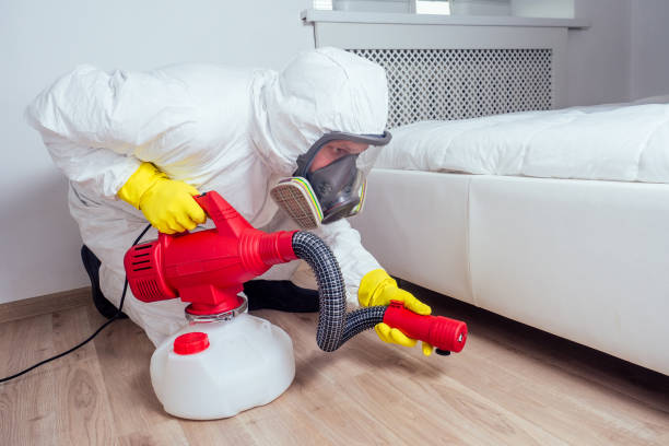 Flea Control Services in Kennesaw State University, GA