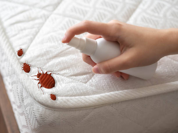Pest Control Cost in Kennesaw State University, GA